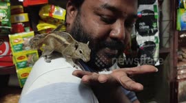 A man in south india has become a mother to lost squirrels