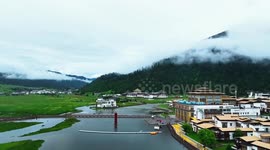 Xizang's ecological conservation efforts praised by foreign guests