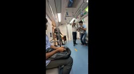 Government officers with dogs on Bengaluru Metro: a heartwarming sight
