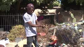 Zimbabwean artist transforms poachers' tools into art