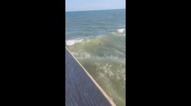 Folly beach s.c. two girls rescued caught in a riptide