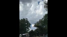 Very strong winds flew this bird into the oz hurricane winds