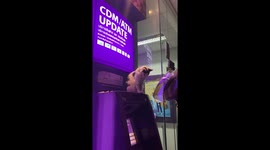 Cat phishing! Feline sits on ATM machine watching people enter in their pins