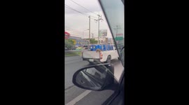 Monitor lizard hitches ride on the back of pickup truck