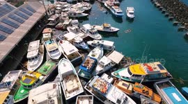 Barbados: Hurricane Beryl risk increases in Texas