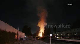 USA: Northridge Cypress Trees Ignite Sending Flames Over 100 Feet High