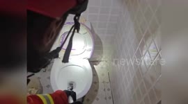 China: Snake Emerges from Toilet Startling Villager in China