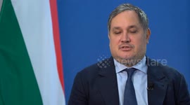 Hungary: EU tariffs on Chinese EVs show weakness, create burden