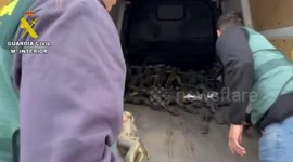 Spain: Gang That Stole Thousands Of Bronze Crucifixes From Cemeteries Across Country Arrested