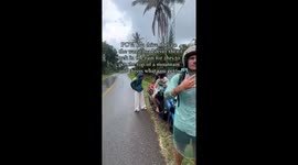 UNESCO Recognized World Heritage Site, Waerebo Village on Flores, Indonesia