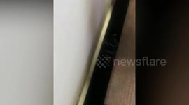 Crying child rescued after failing between platform and train