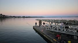 Canada: People Go to The Beach to Fight The Record Summer Heat