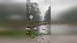 United States: Jasper City Reports Extensive Damage Amid Tropical Storm Beryl