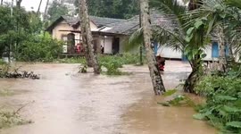 India: Rescuer carries dog to safety during severe flooding in Udupi