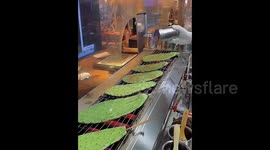 China's barbecue revolution heats up with grilled cactus and lotus roots