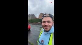 Feathered frenzy: Seagulls attack a boy and dog on their stroll