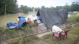 India: People takes shelter with their cattle near a road in a flood-affected village in Morigaon