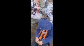 Wild bird considers a boy's head his nest during a family holiday 