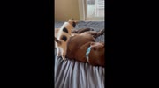 temp