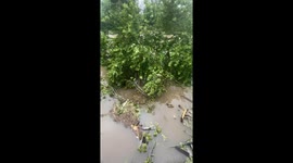 Texas resident films before and after video as Hurricane Beryl devastates area