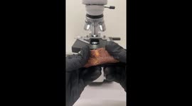 This is what a Snickers chocolate bar looks like under a microscope