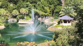 Stroll Through Cedarwood Botanical Gardens