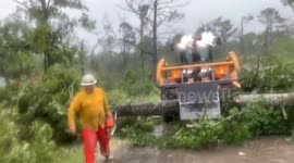 United States: Tornado Strikes Jasper, Texas During Tree Removal Efforts
