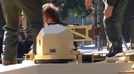 Argentine president Milei in an Army tank during Independence Day celebrations