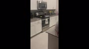 temp