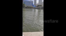 China: Elderly Man Enjoys Relaxing Swim in Tianjin Lake