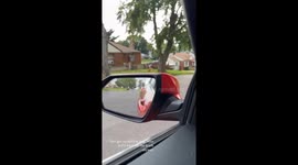 Blaise the biggest, not the little one