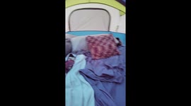 Spiders Congregate on Top of Tent