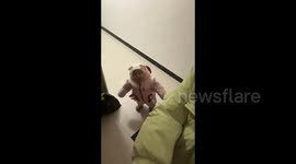 China: The Adorable Tumble