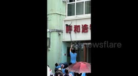 Heroic students rescue stranded kitten from high wall at Chinese school