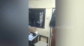 Pet cat gets stuck in awkward position behind window bars