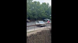 Bear gets opens ladies car door and gets shooed out then goes to back door and opens it