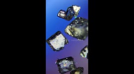 This is what sugar and salt looks like under the microscope