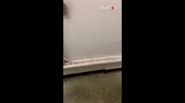 Man records himself diving into action to help police deal with intense fire on Portobello Street