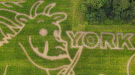 Stunning footage shows 15 acre maze shaped in the style of Gruffalo