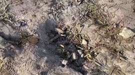 Israeli attack on school in southern Gaza