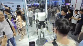 China: Tesla' Humanoid Robot at 2024 WAIC in Shanghai