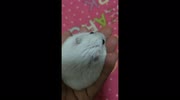 temp