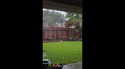 temp