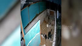 India: Wild encounter: Leopard's dramatic hunt for goat in western India