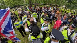 Man detained and searched for “displaying Israeli flag” in London park during pro-Palestine demo