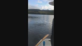 Hooking a decent brown trout on first time out in my wee boat.