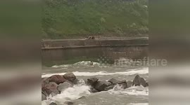 UK: Man Risks All to Save Dog from Cromer's Treacherous Waves