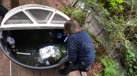 USA: Endangered Frogs Are Growing Up At Zoo