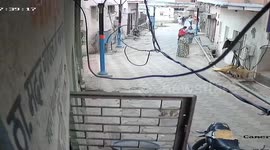 Feral monkeys attack boy, 5, in backstreet in India