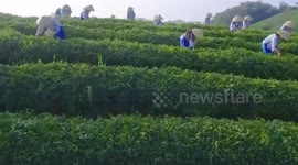 China's modernization drive puts people at its center: German association head